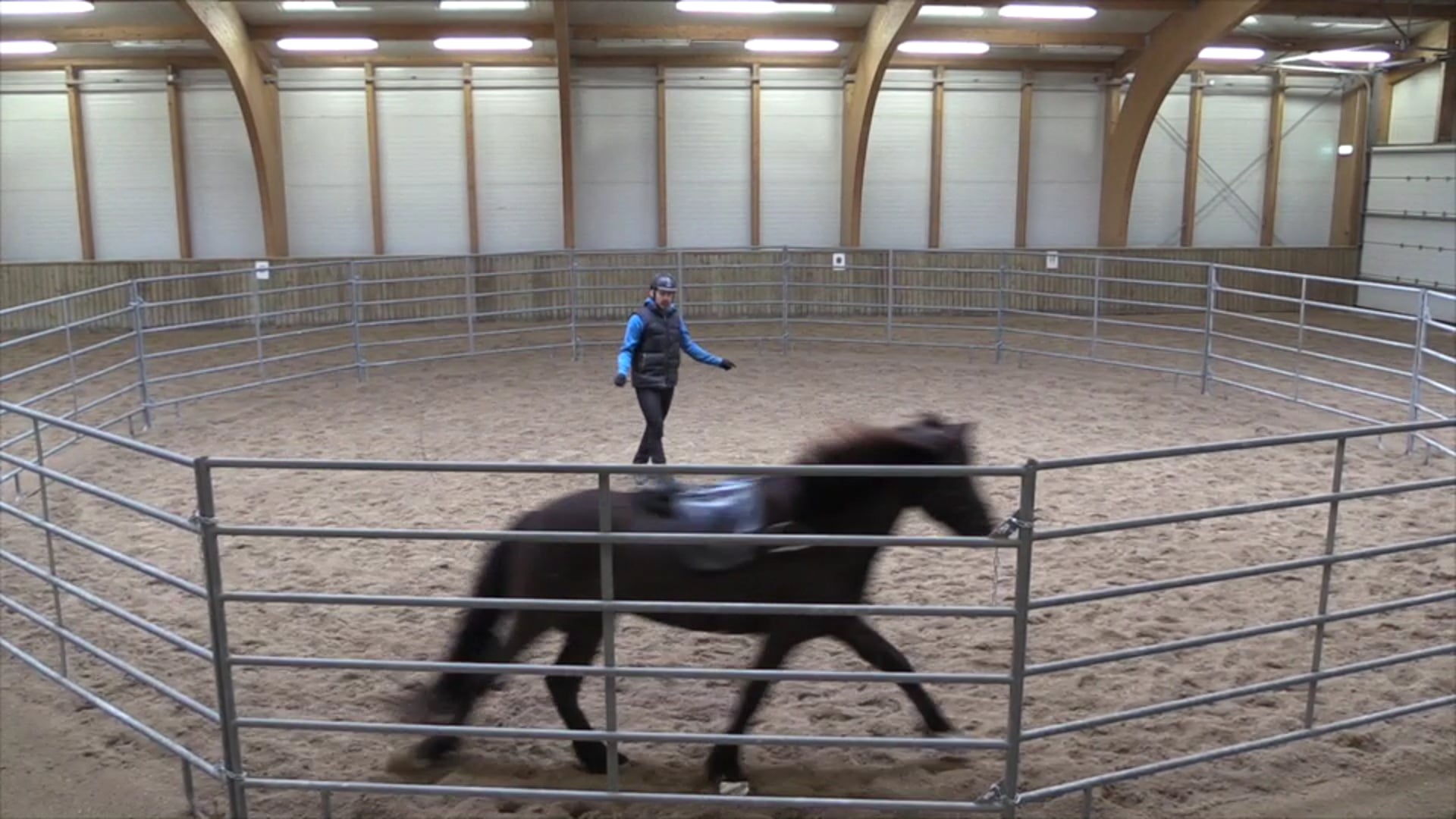 Training canter first step 1/4