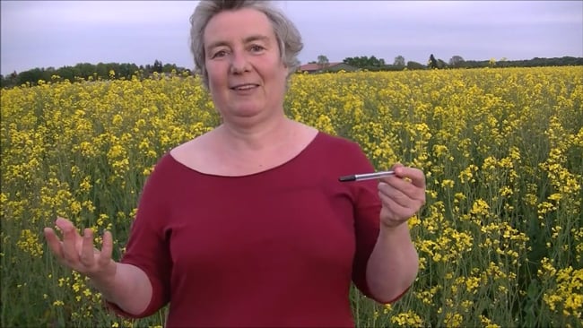 Neugier - Anfängergeist Übung