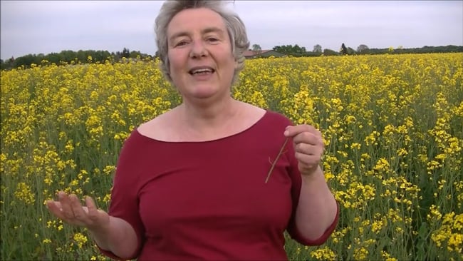 Bedürfnisse - Deine Challenge für die erste Woche