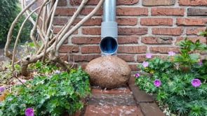 Afkoppelen regenwater zonder stankoverlast