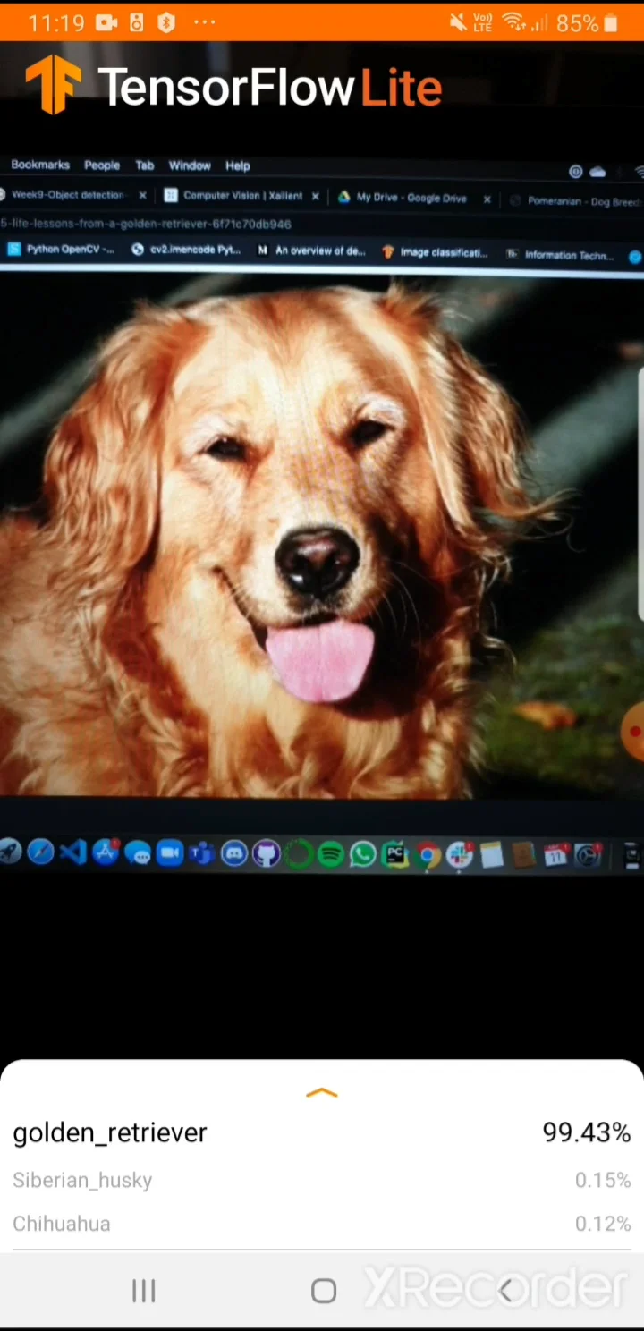 Dog Breed Classifier on TensorflowLite on Vimeo
