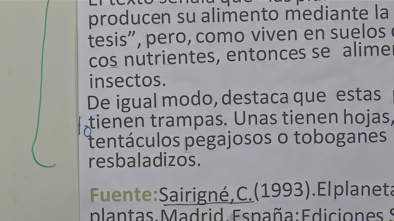 Monografía