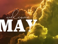 <b>Do Not Whine- Shine!</b><br/>May 10, 2020