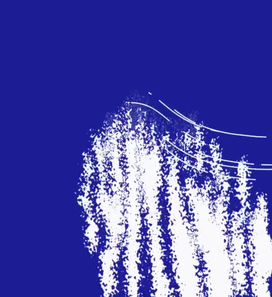 Ocean Voicer