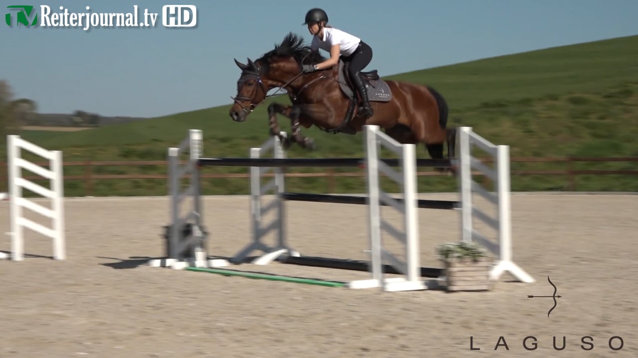 Quarantäne-Training mit Kalli Streng und Tina Deuerer - Teil 4 - präsentiert von LAGUSO