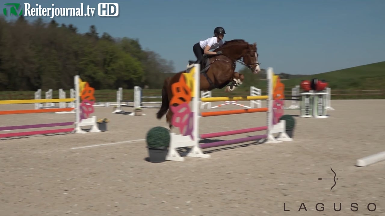 Quarantäne-Training mit Kalli Streng und Tina Deuerer - Teil 5 - präsentiert von LAGUSO