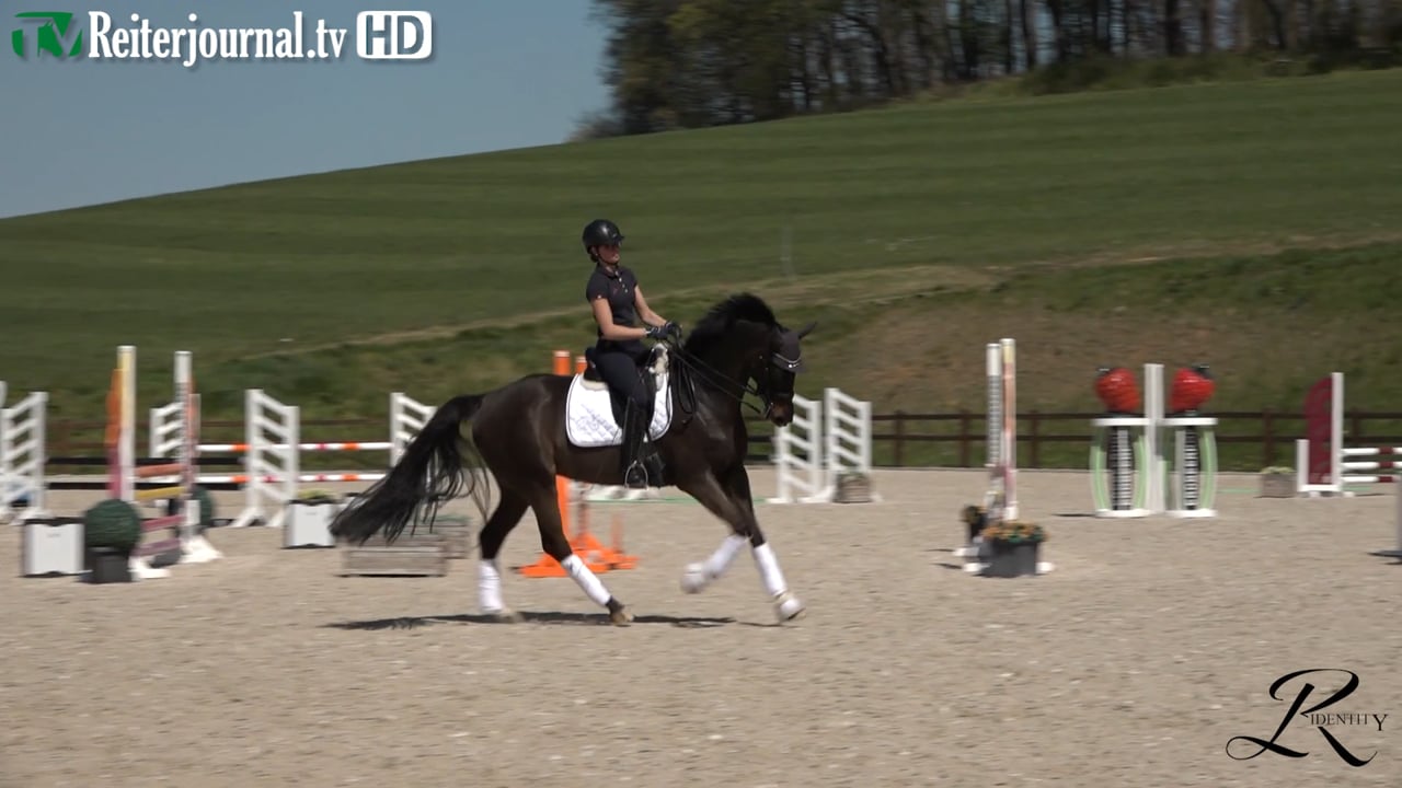 Quarantäne-Training mit Katrin Burger - Teil 4 - präsentiert von RIDENTITY