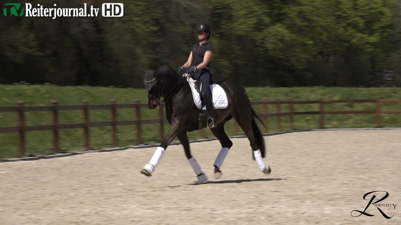 Quarantäne-Training mit Katrin Burger - Teil 5 - präsentiert von RIDENTITY