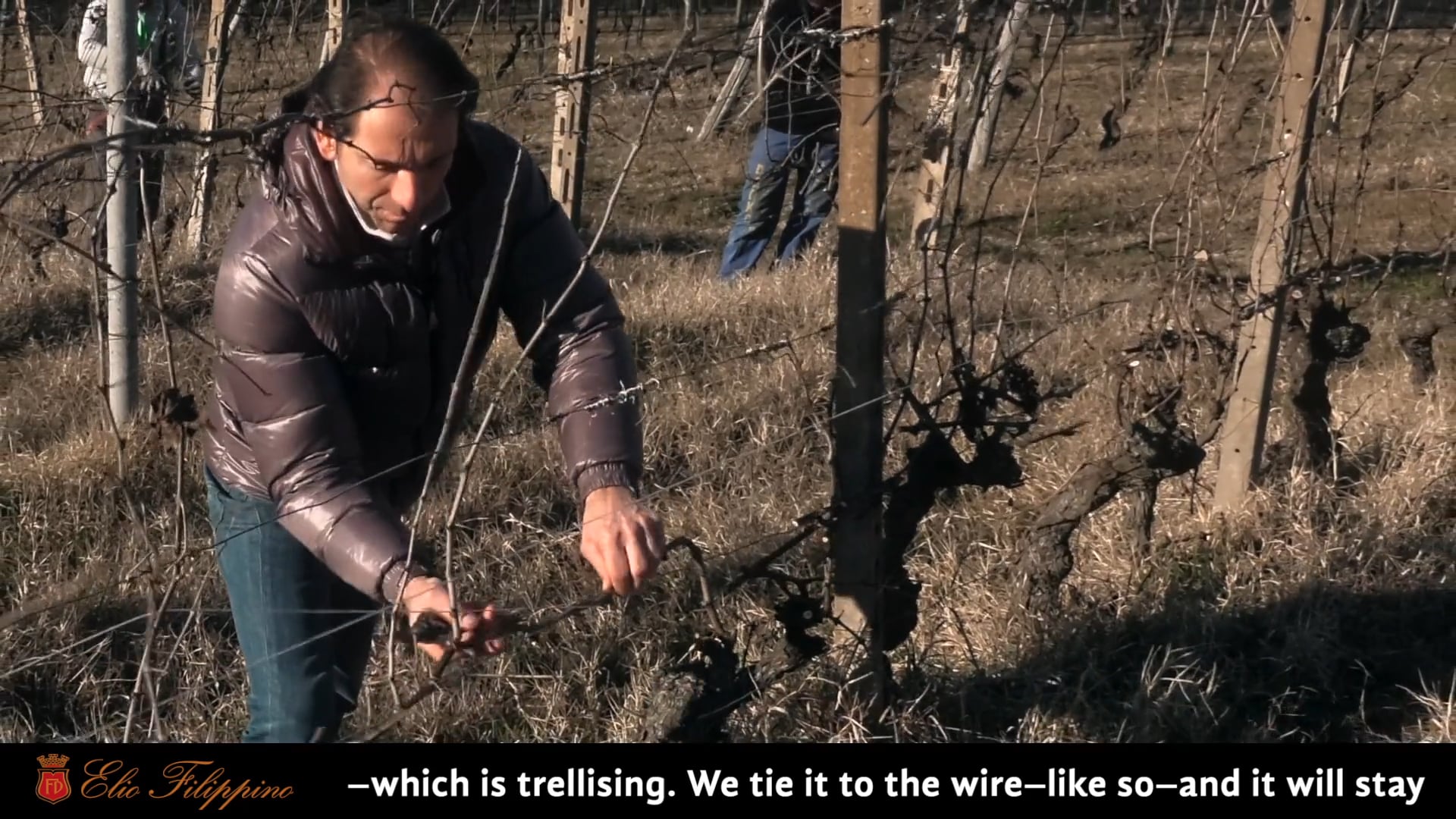Tutorial Potatura - Pruning