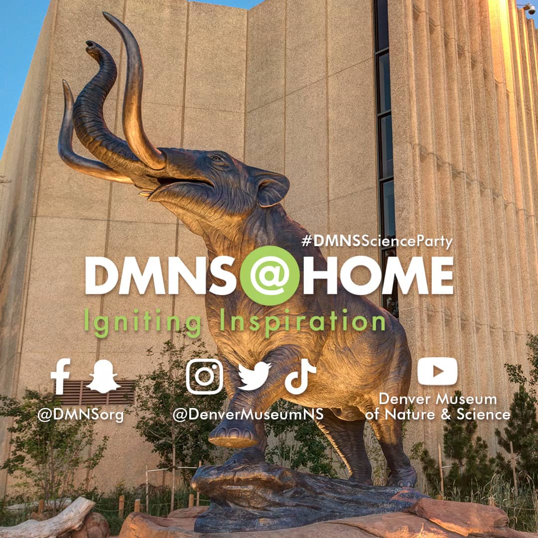 Guacamole Oxidation (English) on Vimeo