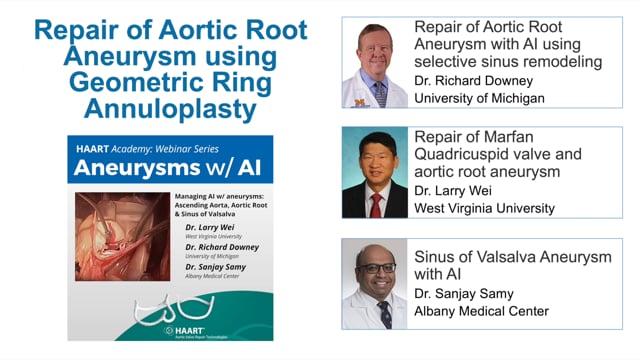 HAART Academy: Aneurysms with AI