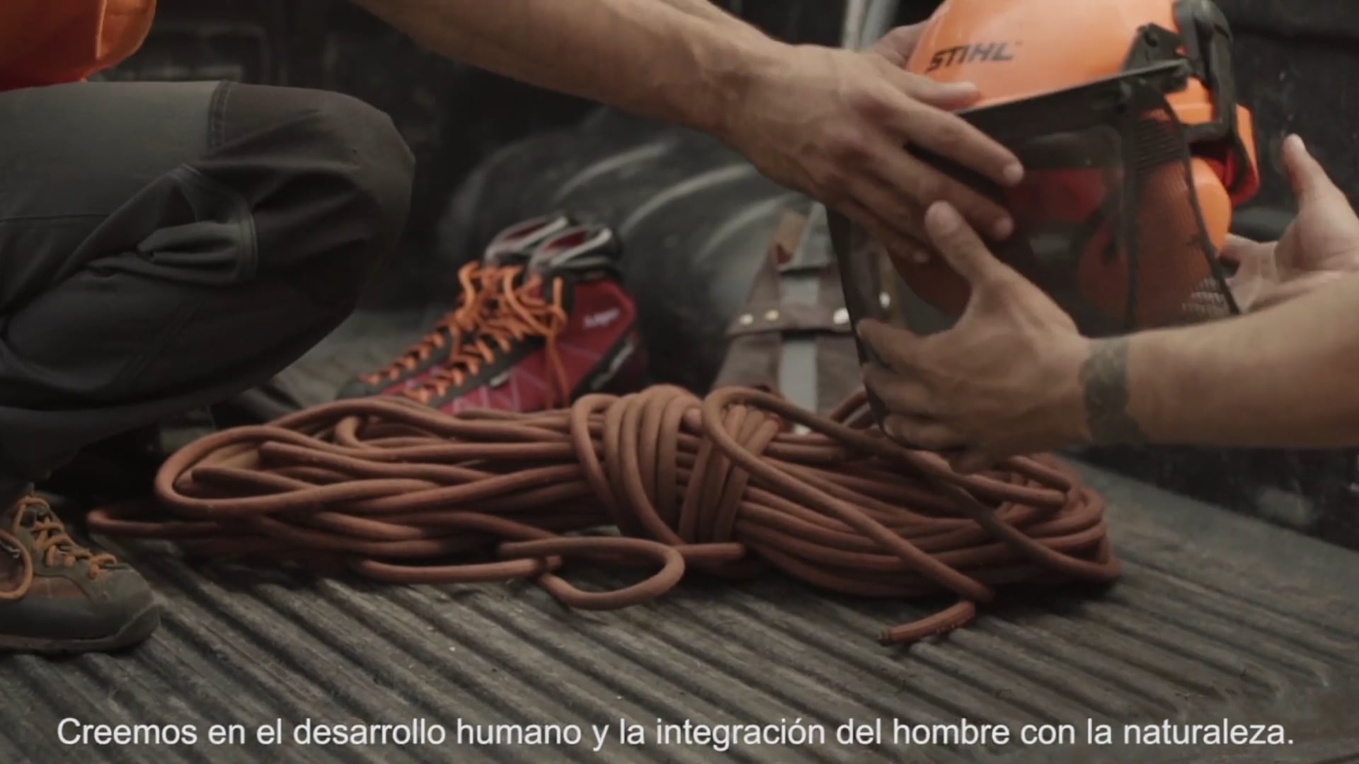 THE LION PRUNING PALM TREES - INSTITUTIONAL VIDEO