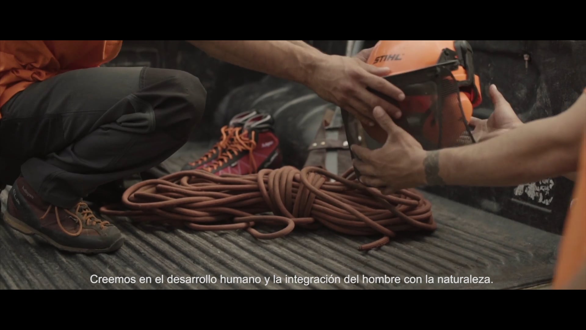 THE LION PRUNING PALM TREES - INSTITUTIONAL VIDEO