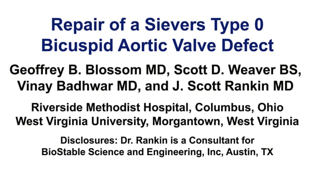 Sievers Type 0 BAV Insufficiency