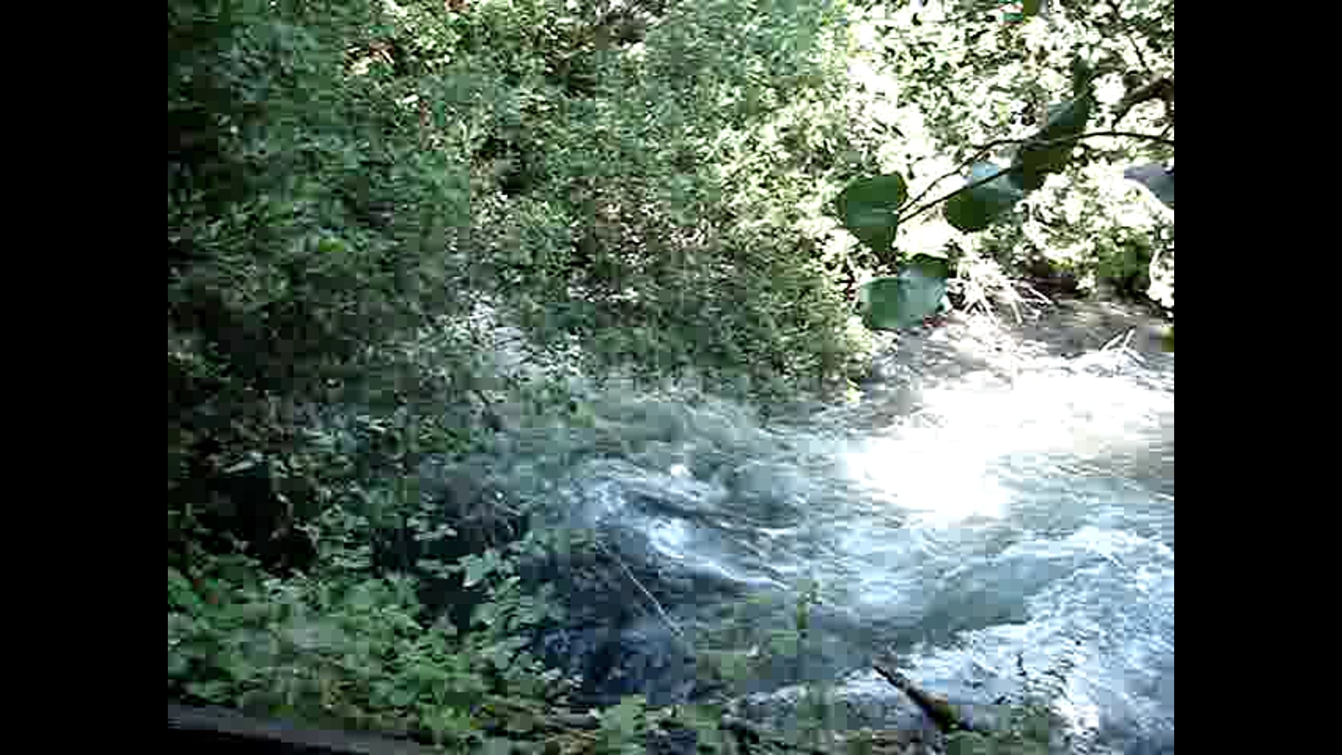 Water flowing from Hermon at Tel Dan