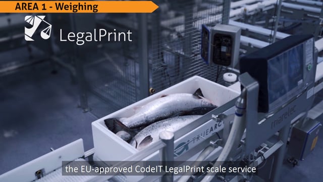 CodeIT EU Approved Legal Print