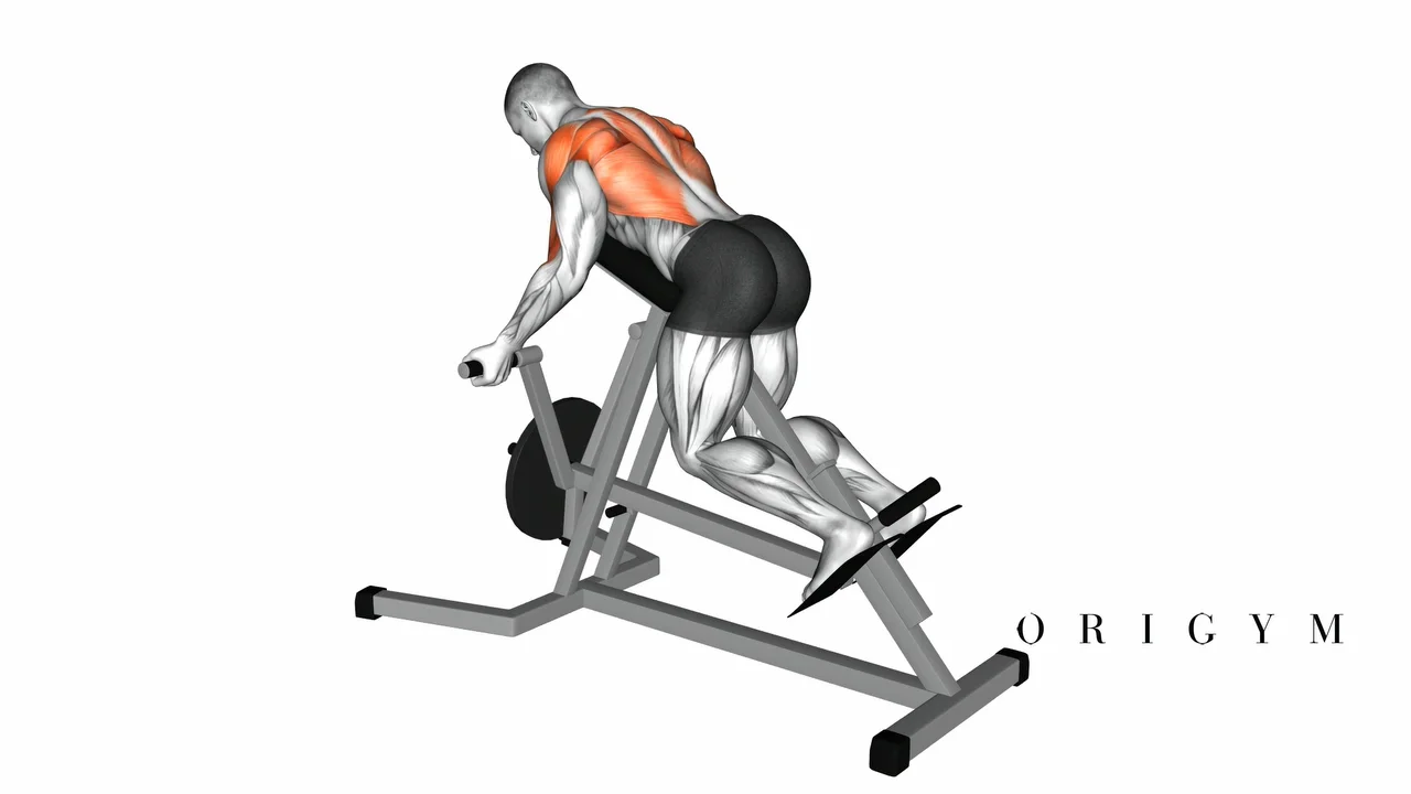 Seated row supinated discount grip