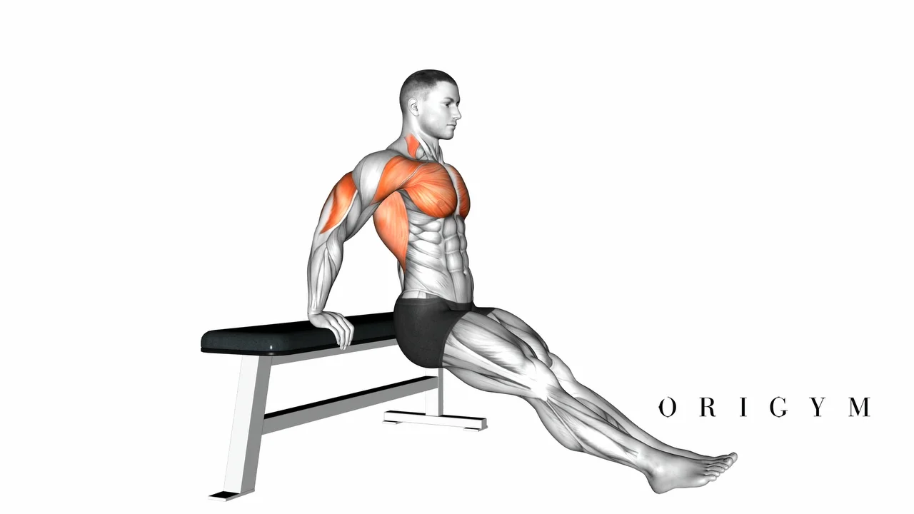 Seated Dips