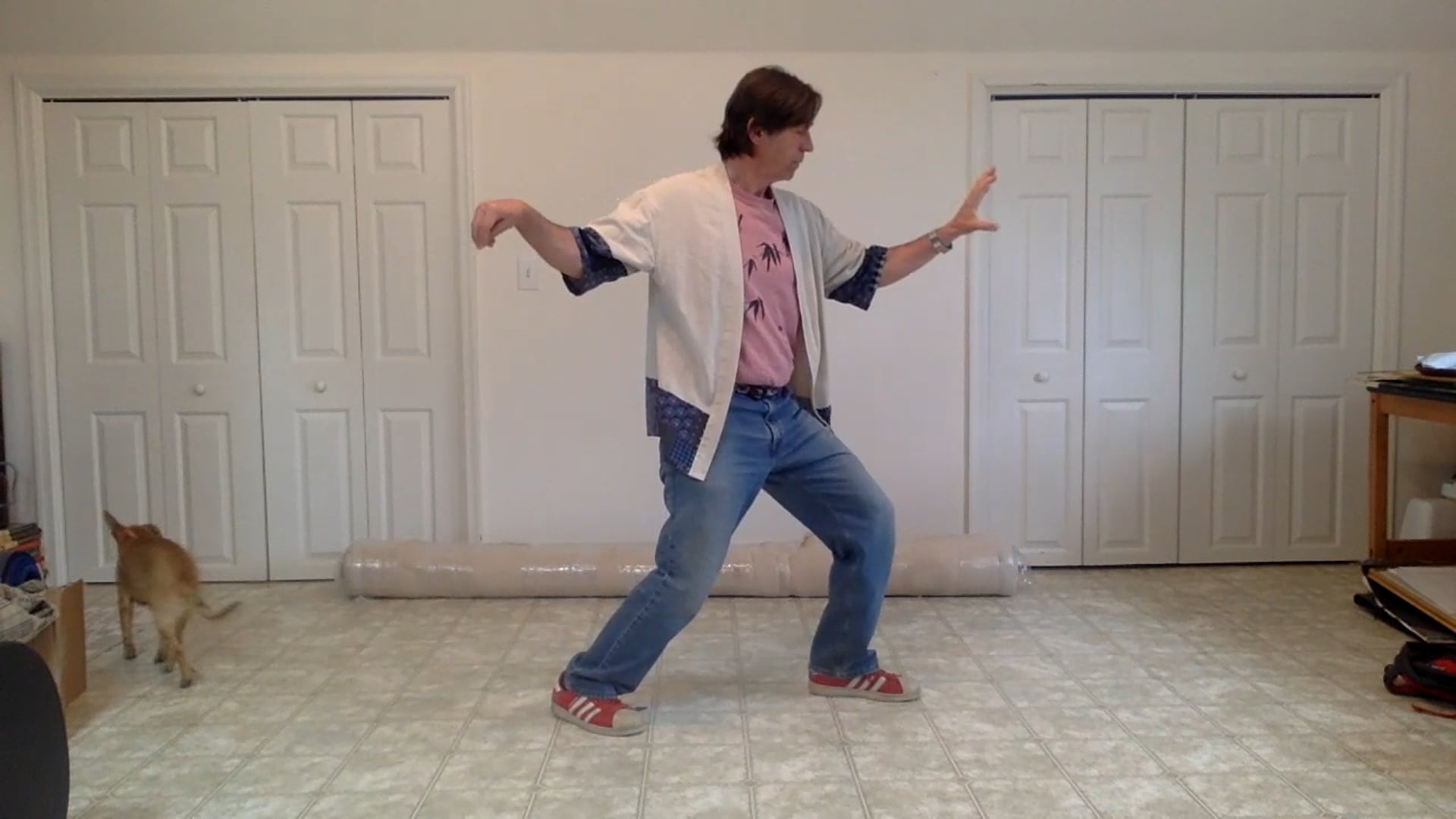 Brad’s imperfect Single Whip Lesson