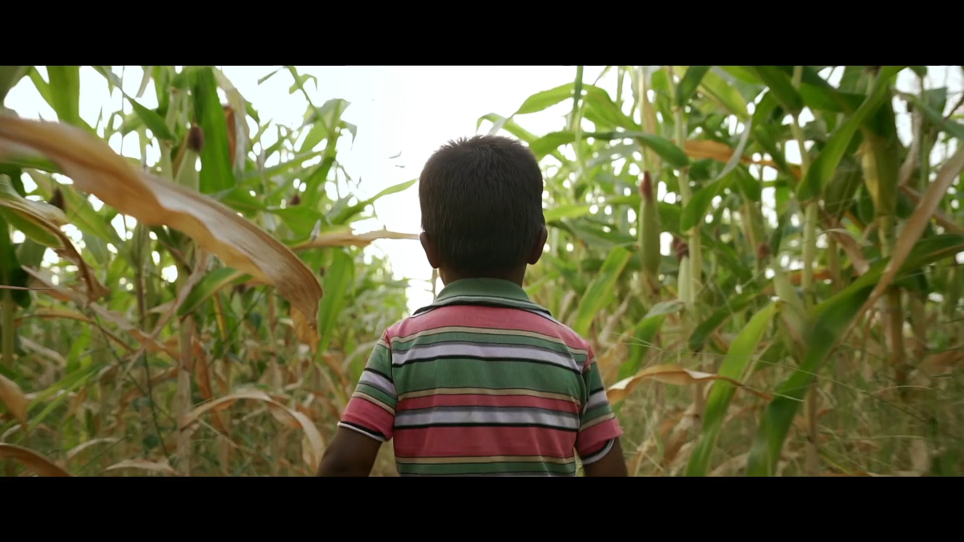 #DIGNITY | Series Teaser