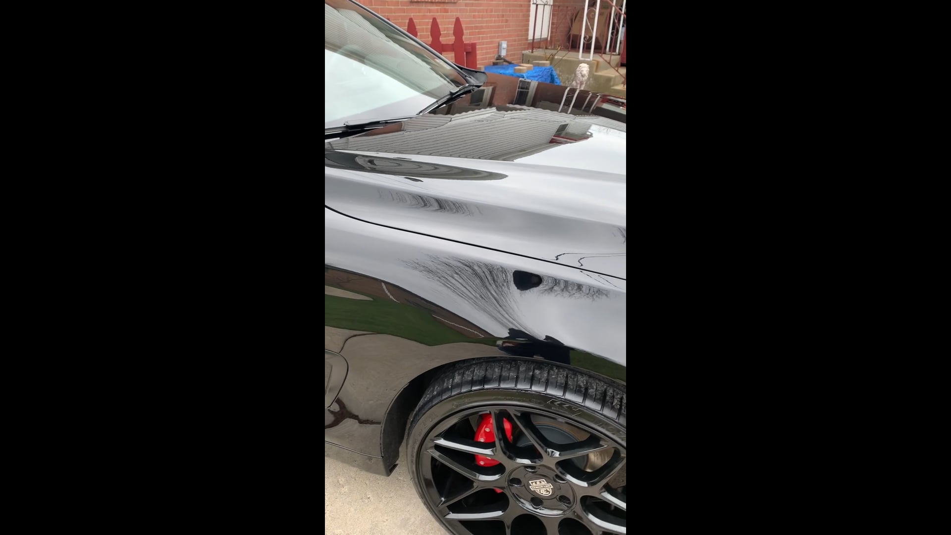 Paint Correction 2015 BMW 4281
