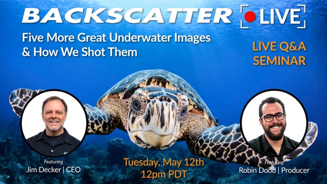 Five More Great Underwater Images & How We Shot Them [Recorded LIVE] May 12, 2020