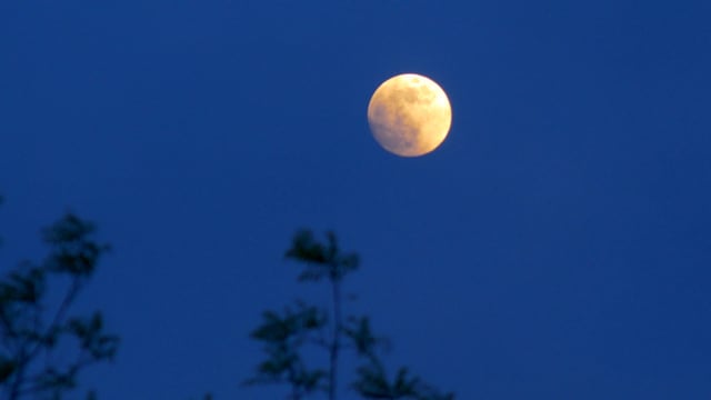 800+ Free Moon Stock Videos - Pixabay - Pixabay