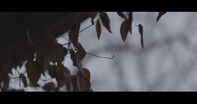 трейлер