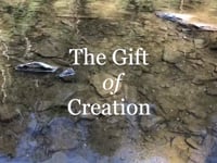 Eucharistic Reflection - Gift of Creation
