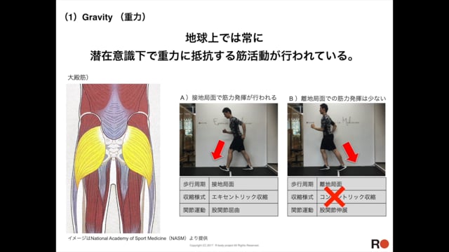 機能的動作の原理原則②Gravity