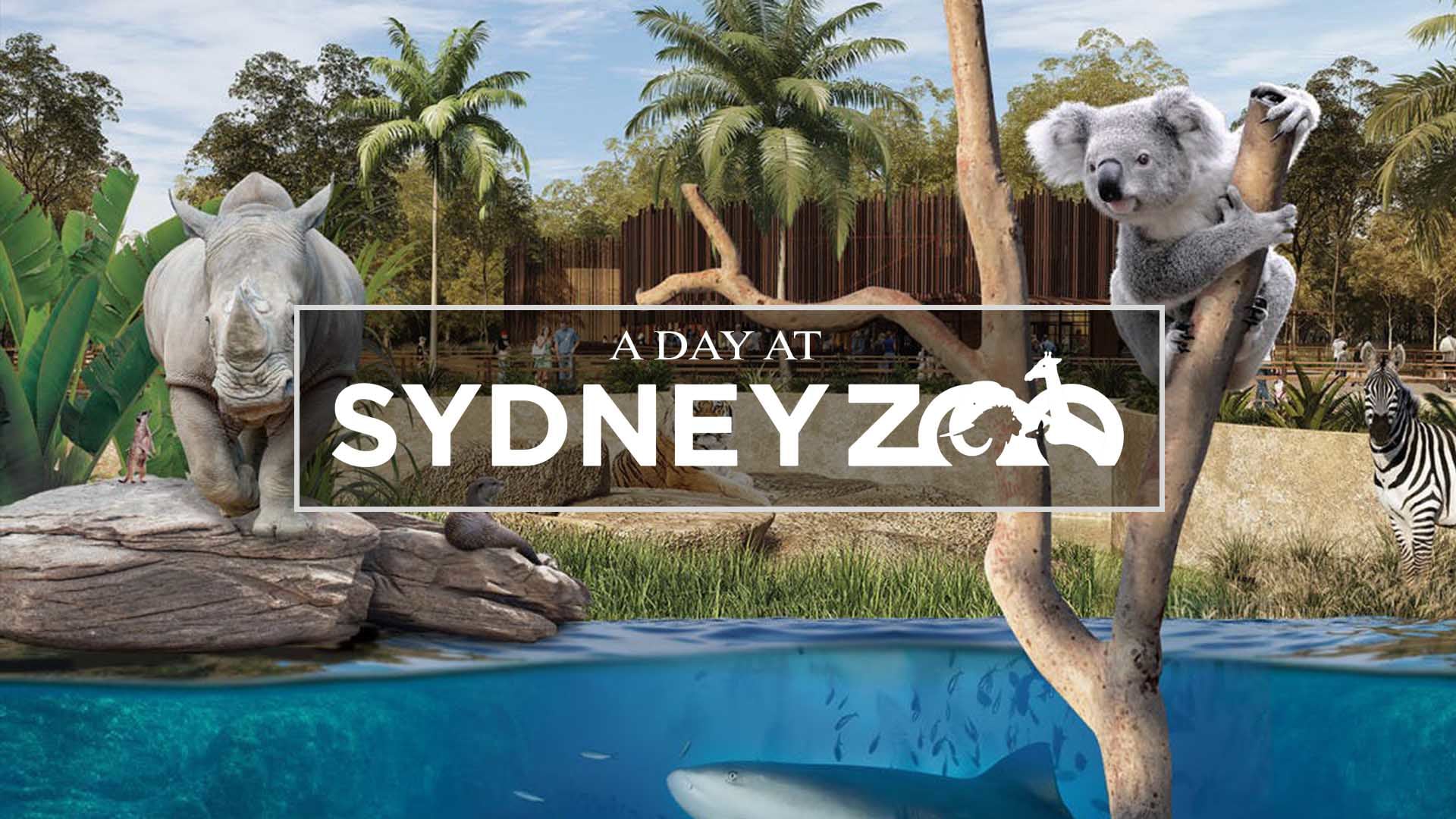 A Day at Sydney Zoo