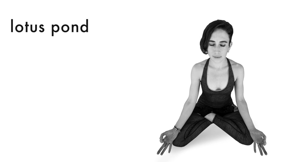 Hip Openers & Arm Balances 5