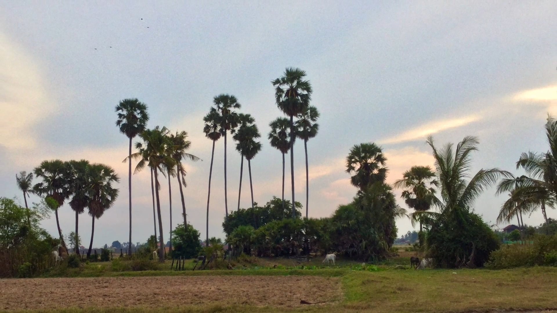 NKK Dance Centre Under Construction May 2020