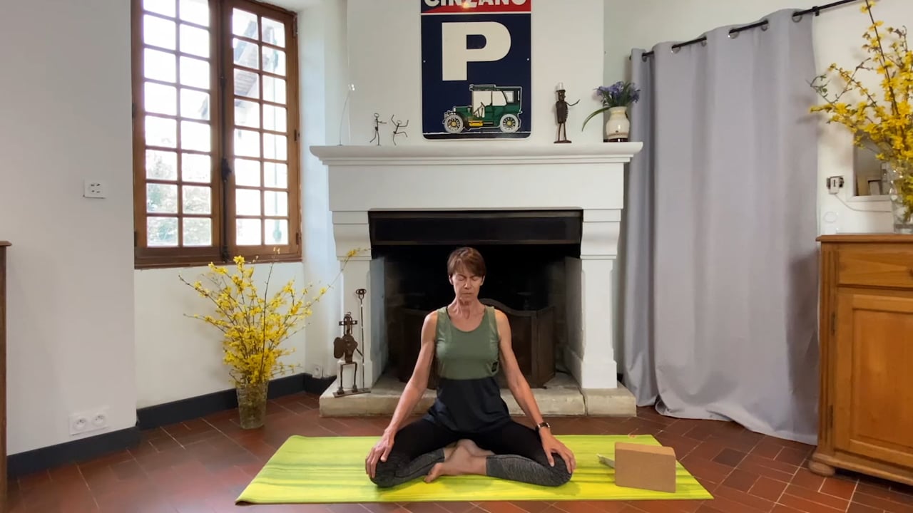 5. Cours de yoga : S'ancrer et se déployer avec Sylvie Berardi (64 minutes)
