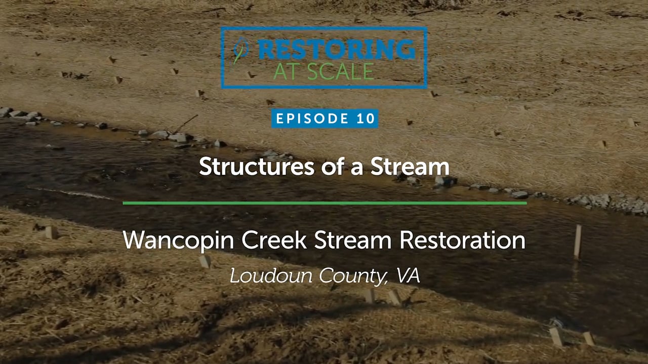 Restoring at Scale: Episode 10 - Structures of a Stream