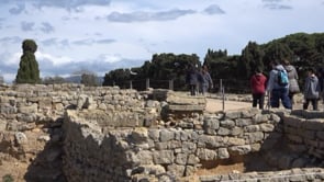 Propostes per celebrar el Dia internacional dels museus 