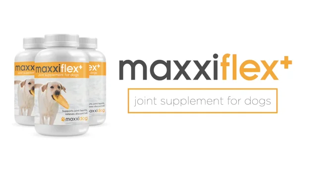 Maxxiflex dog joint store supplement