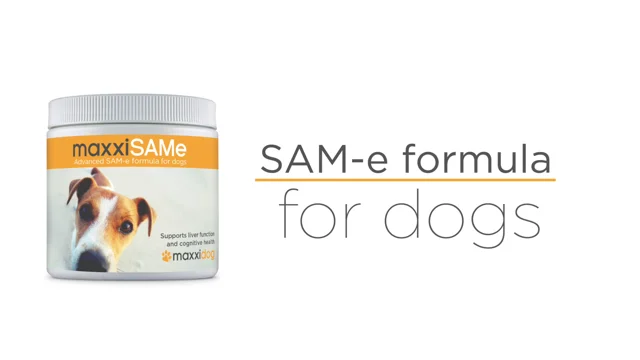 maxxiSAMe SAM e Formula for Dogs maxxipaws