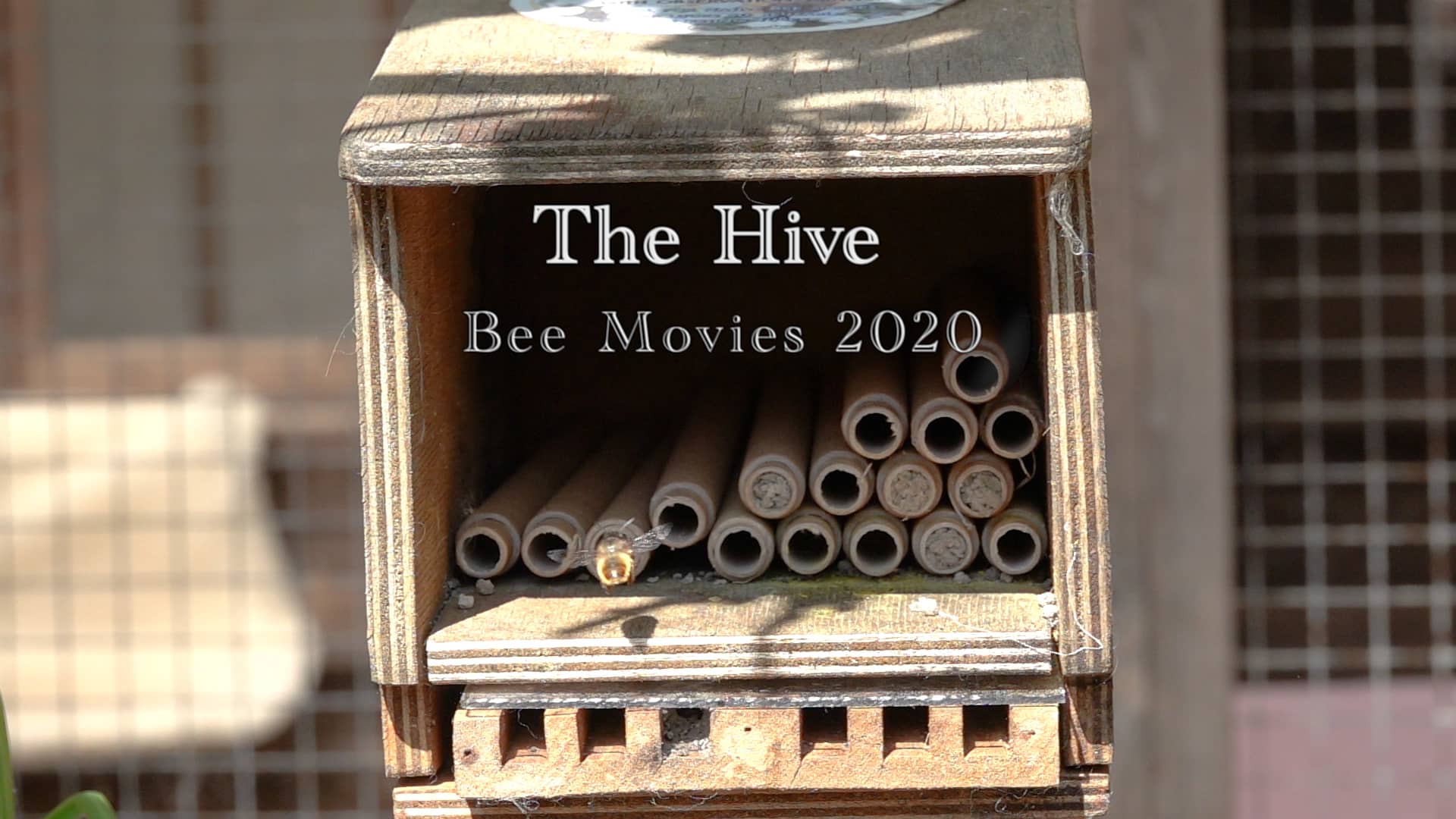 Bee Movie 2 The Hive on Vimeo