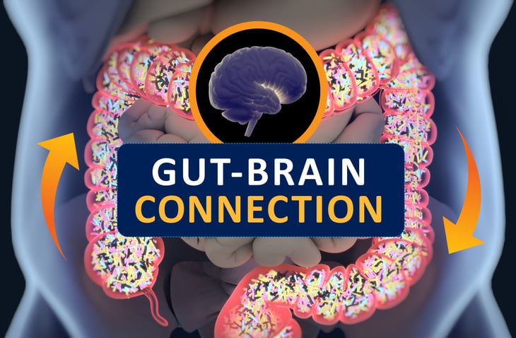 The Gut/Brain Connection