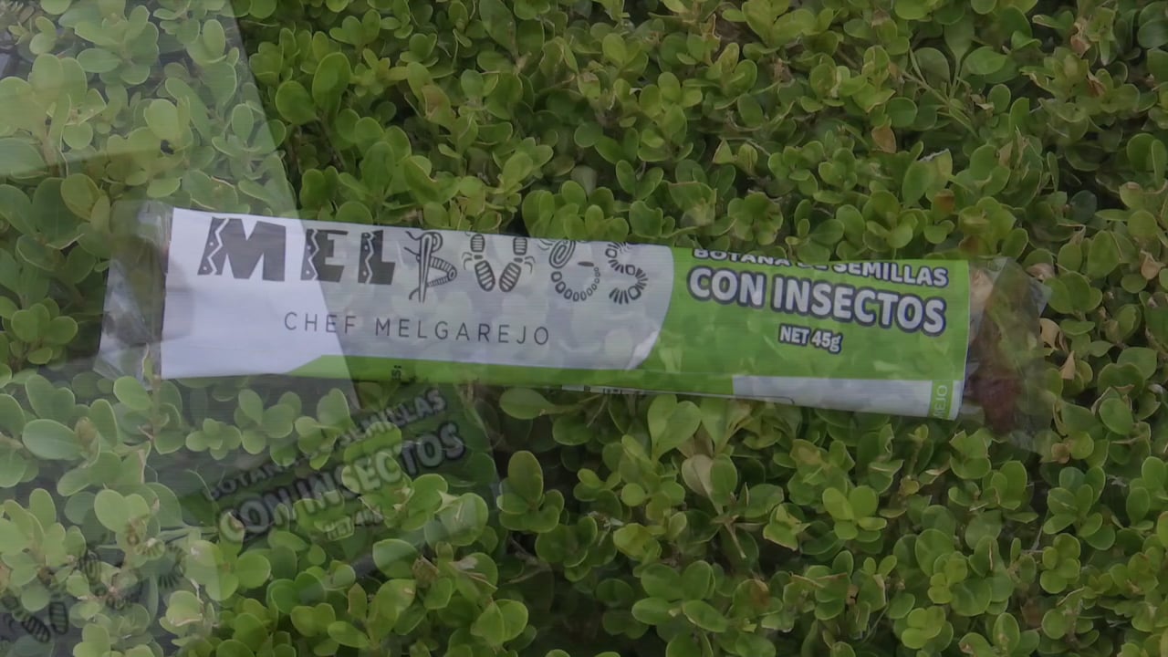 Melbugs