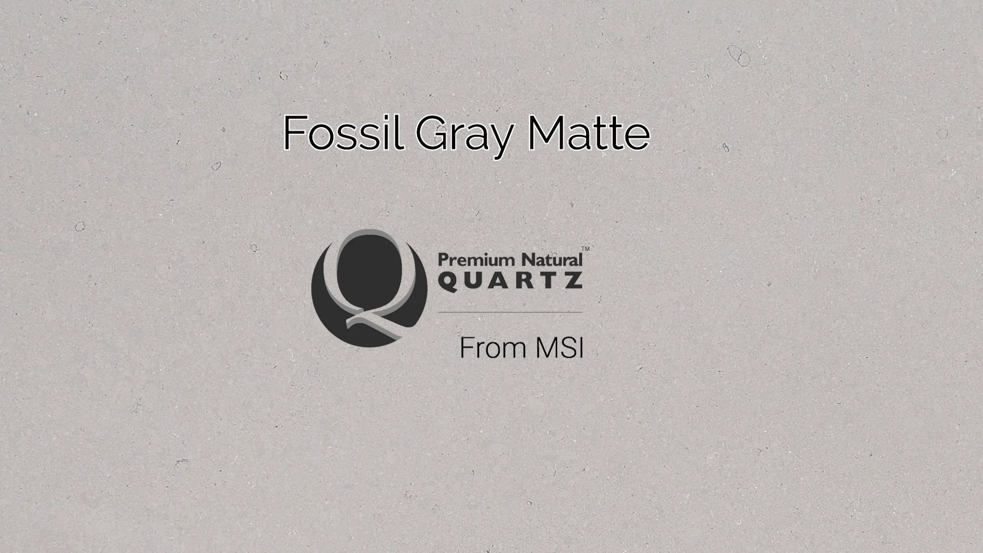 Fossil Gray Matte Quartz Q™ Premium Quartz MSI Quartz