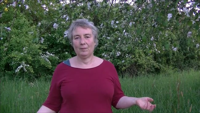 Turn Shit into Gold - Challenge