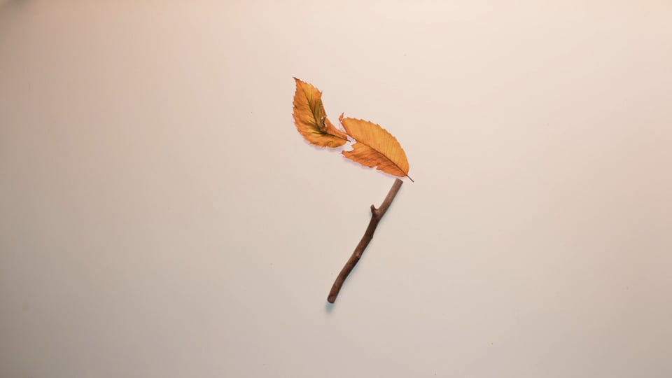 little stick and a leaf that looks like a flaming match