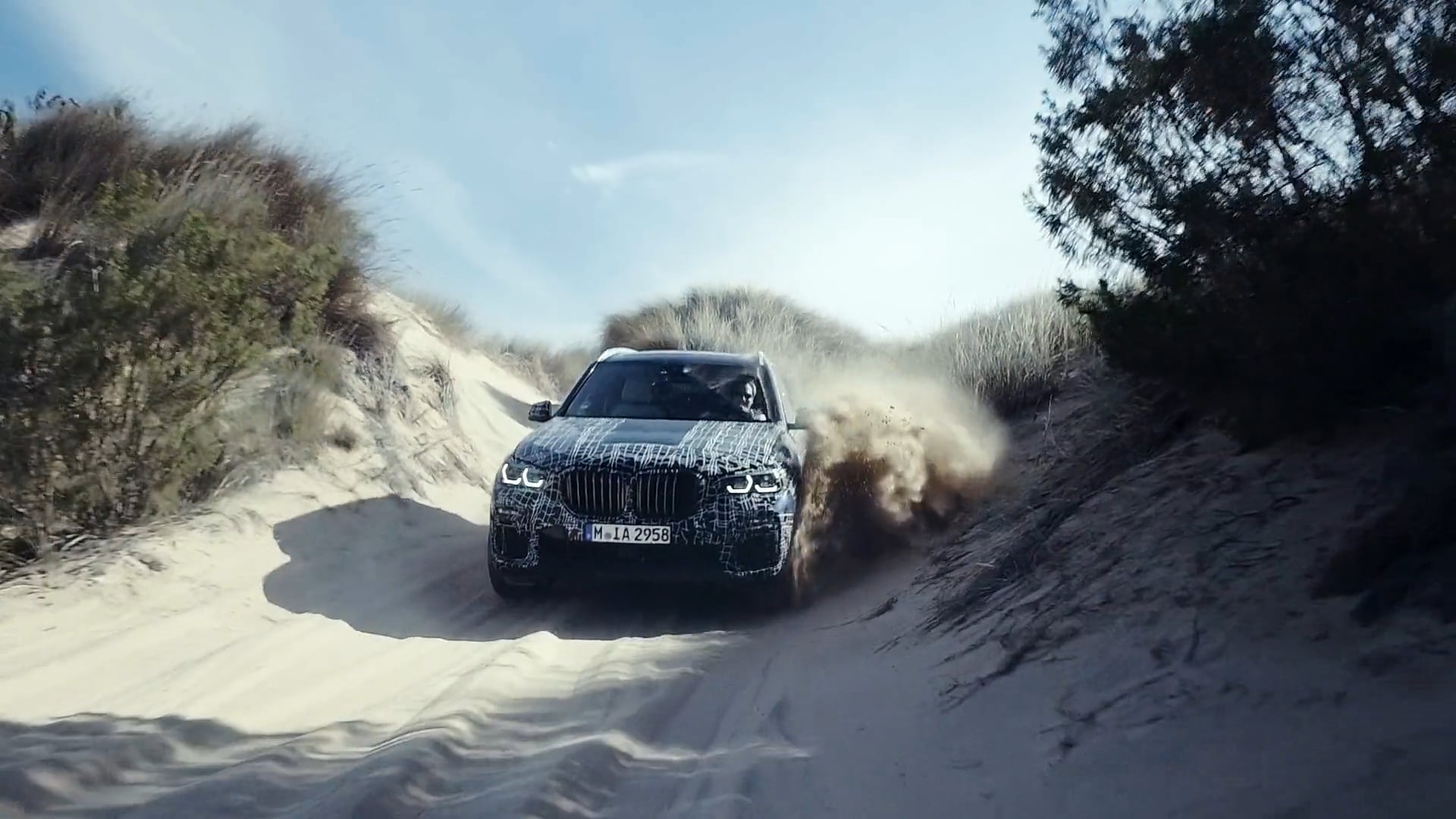 BMW X5 Trailer