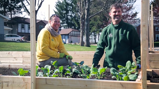 Vegetable Gardening in Raised Beds | Part 3: Planting Cold Crops