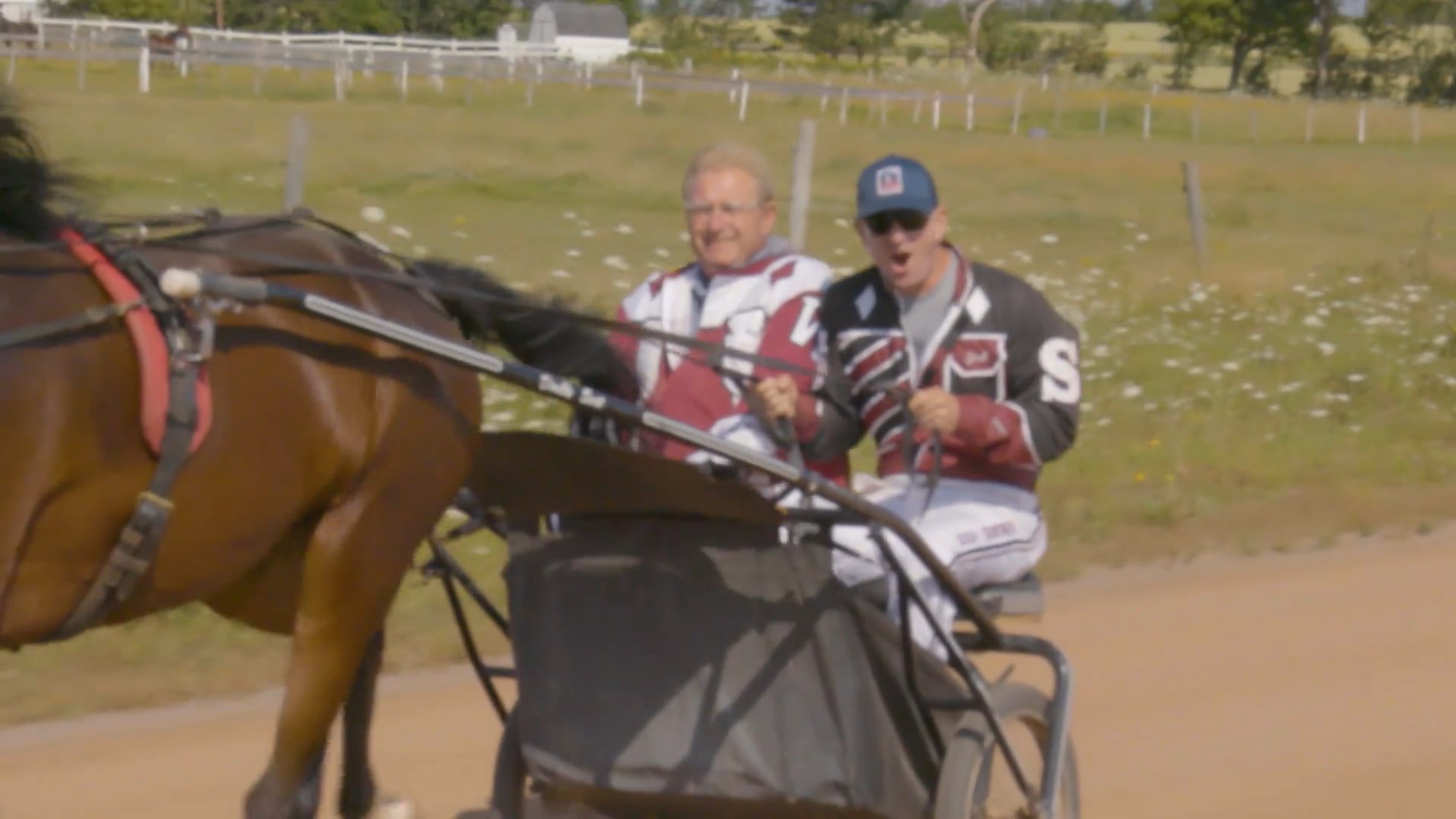 Harness Racing in PEI