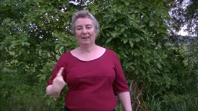 Übung zur Perspektive