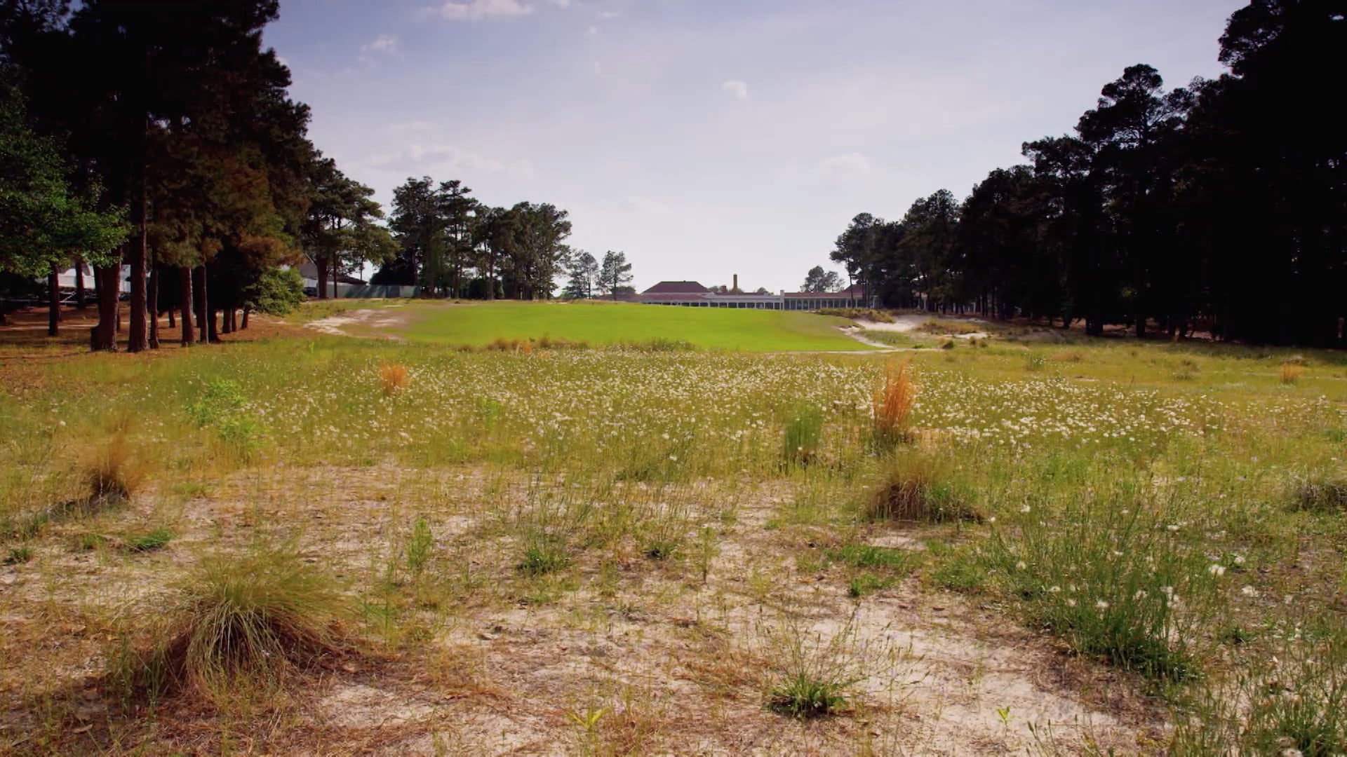 Pinehurst No. 2 and Elliott's On Linden