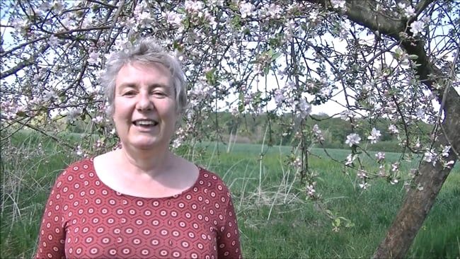 Gefühle und Gedanken